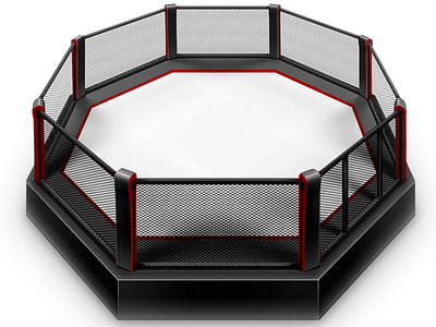 Octagon Shot arts mma octagon sport