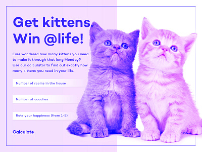 Daily UI #004 - Kitten Catculator calculator cat catculator daily ui fun kitten