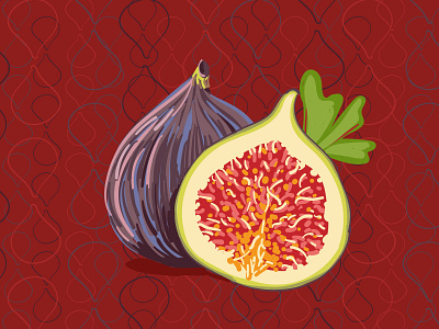 Fig fig food fruit illustration vector wacom