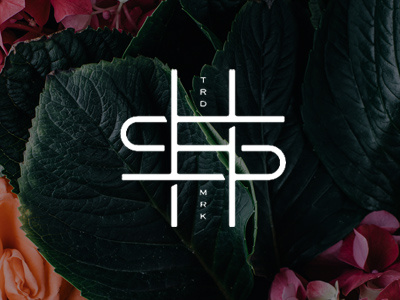 Logo - Haryo Setyadi logo monogram photography