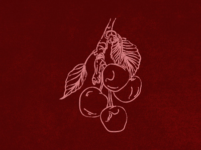 The Pits berry cherry food fruit illustration red