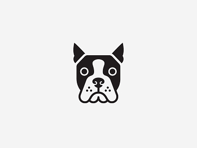 Boston Terrier animal boston terrier dog face head illustration logo pet symbol