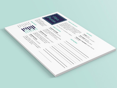 CV brasil criação cv design gráfico designer diagramação graphic design