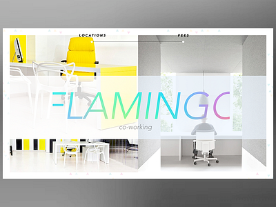 Flamingo co working corporate office typography webdesign