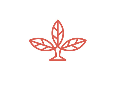 Peko Tea House - Mark Exploration 3 cold pressed flower icon identity juice leaf logo nature organic tea whiskey and branding