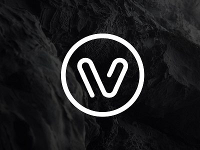 V Logo branding logo logotype v vektor