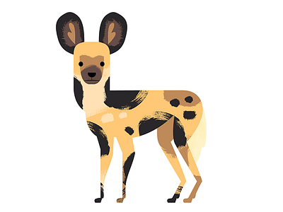 Wild Dog africa african animals animal animal illustration dog illustration south africa wild dog