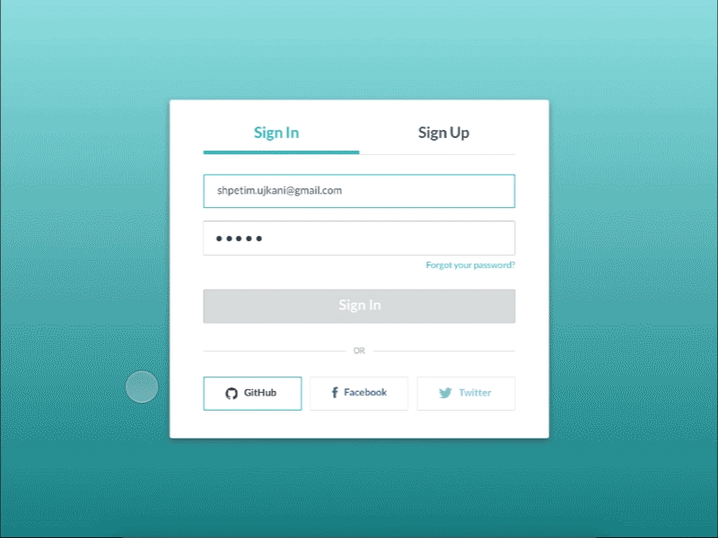 Form Validation Interaction animation form interaction password ui user ux validation