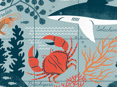 Under the Sea 2 illustration ocean pattern