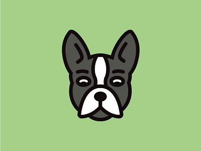 Boston Terrier Illustration boston terrier dog flat illustration simple thick lines color vector