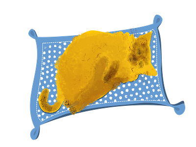 Kitty animal cat cute illustration pet vector