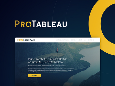 ProTableau Branding branding icon logo media ui web design