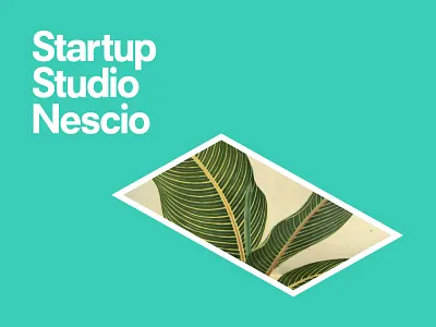 Startup Studio Nescio Plant amsterdam design graphicdesign identity isometric logo nescio plant rectangle startup studio webdesign