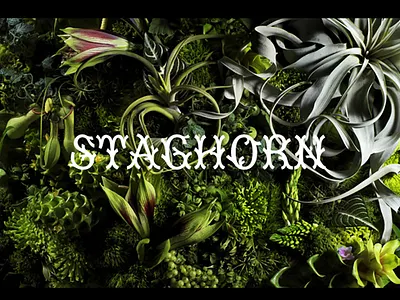 Screen Shot 5.06.19 Pm