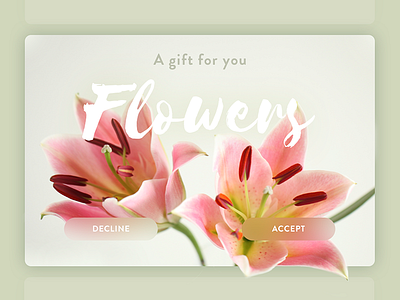 Flowers app card flowers gift nature photography ui ux web design