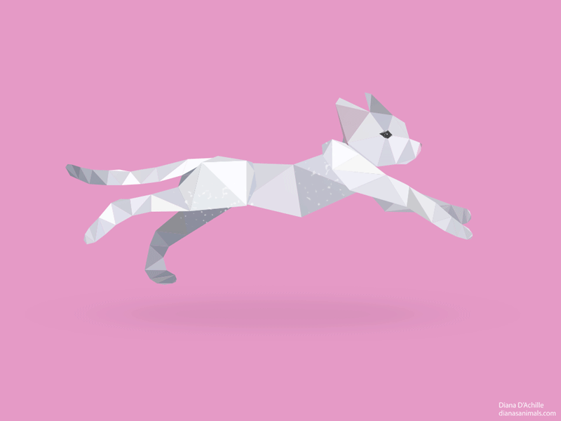 Shorthair Kitten Animation. animal animals animation cat cats illustration kitten low poly low polygon photoshop ui vector