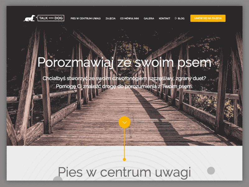 Talk with Dog Website dog homepage interaction landing layout muse page product trainer ux web website