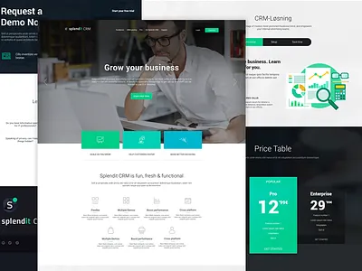 Splendit CRM contact crm design development form green price table tech ux web website