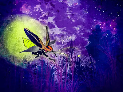 Lightning Bug firefly glow bug illustration insect lightning bug mixed media night time pen and ink wildlife