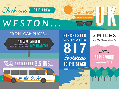 Campus Infographic adobe illustrator illustration infographic