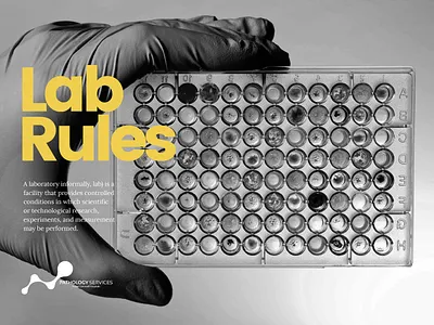 Lab Rules cornwall design photography poster web webdesign