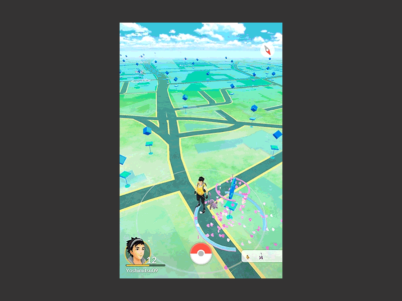 Pokemongo Menu pokemon pokemon go principle prototype