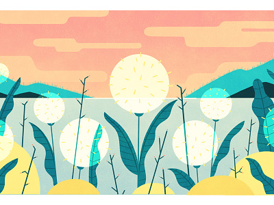 Dandelions animation halifax health illustration motion