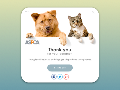 DailyUI - #077 - Thank You 077 aspca cat dailyui dog social media icons thank you