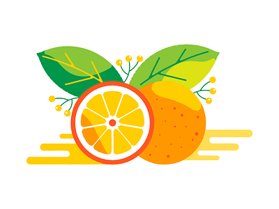 Orange berry design fruit graphic green illustration leaf orange package plant