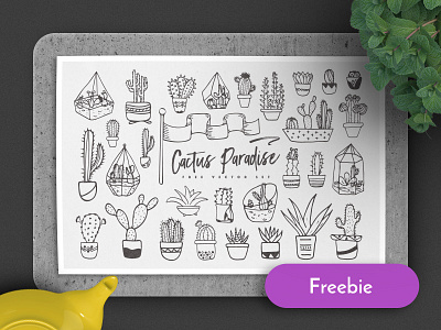 Cactus Paradise (Freebie) cactus doodle free freebie illustration pattern seamless sketch vector