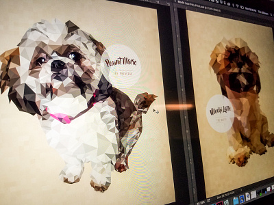 Low Poly Protrait Progress digital dogs good illustration low poly portrait print progress