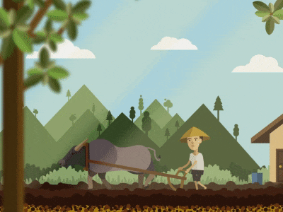 farming with buffalo animation flatdesign graphicdesign illustration mograph motiongraphic simpledesign vector