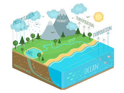 Water Cycle environment evaporation isometric lake landscape nature ocean precipitation rain river transpiration water