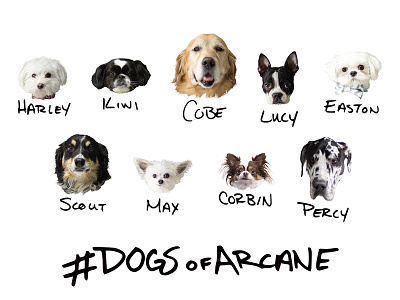 Dogs Of Arcane animals dogs pets photos