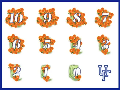 UF Gator Countdown dropcap gator handlettering handtype illo illustration type typespiration typespire typography uf vector