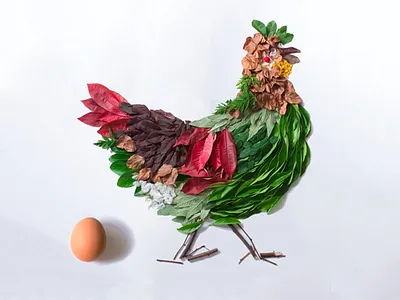 Spring Chicken chicken collage eggs kfc leaves nature nuggets omlette salmonella