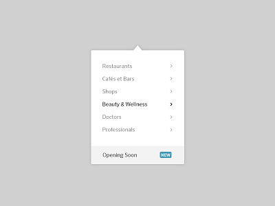 Menu Dropdown - CentralApp arrows blue classic dropdown icon menu white
