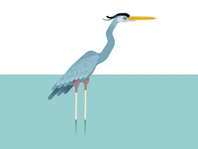 An elegant bird affinity bird elegance heron rare