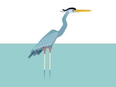 An elegant bird affinity bird elegance heron rare