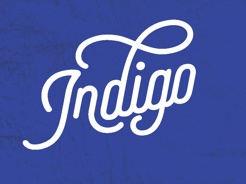 Indigo animation indigo typography