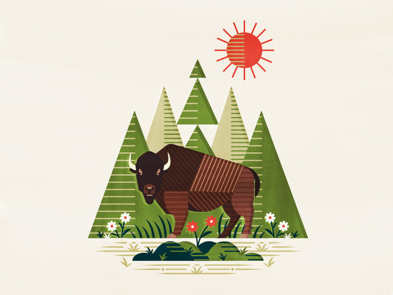 Example of Bison