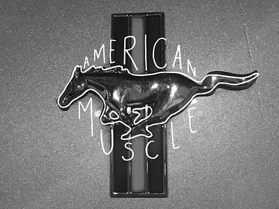 Ponyta my Mustang. snponyta type