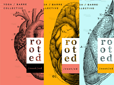 Rooted art direction barre brand branding concept dance health identity yoga