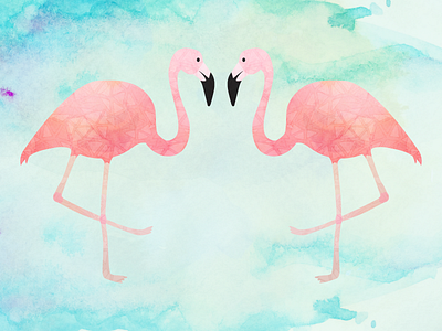 Flamingos flamingo flamingos pink