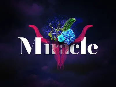 Typography graphics illustration miracle typography