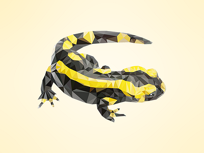 Salamander Fever animals illustration low poly salamander