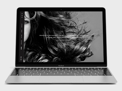 serebro black clean ui ux web