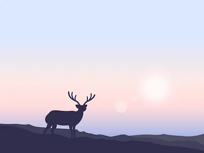 deer deer