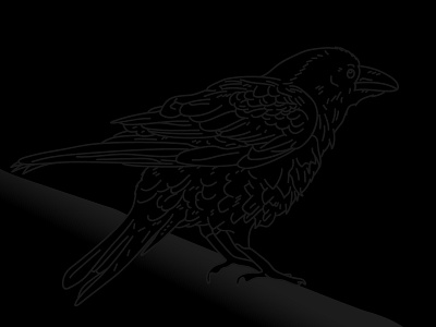 Day 15 – Raven 30daychallenge animal bird comic dark illustration night raven