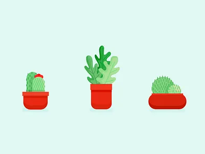 cactus color icons cactus flower icons illustration nature plans vector